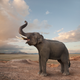 Elefante en el desierto. Getty